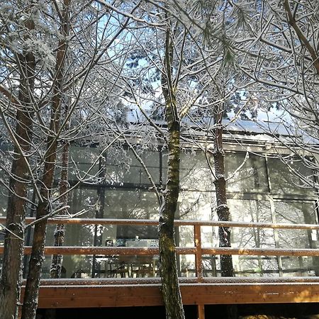 Luksusowy- Nowoczesny Dom W Lesie Vila Kowalewo Exterior foto