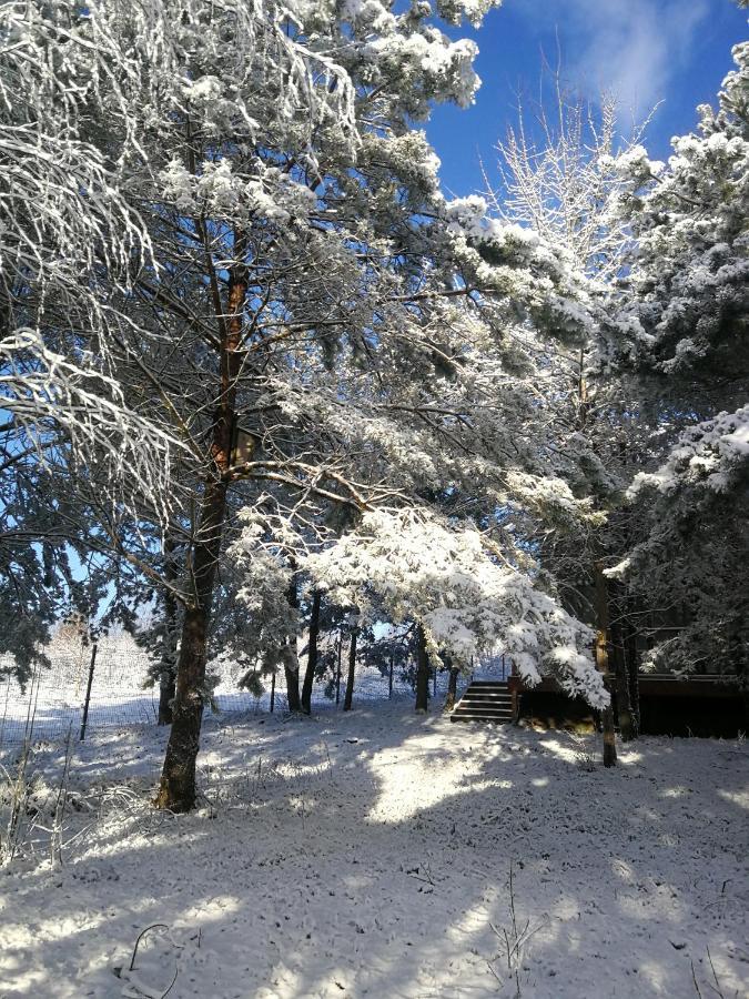 Luksusowy- Nowoczesny Dom W Lesie Vila Kowalewo Exterior foto
