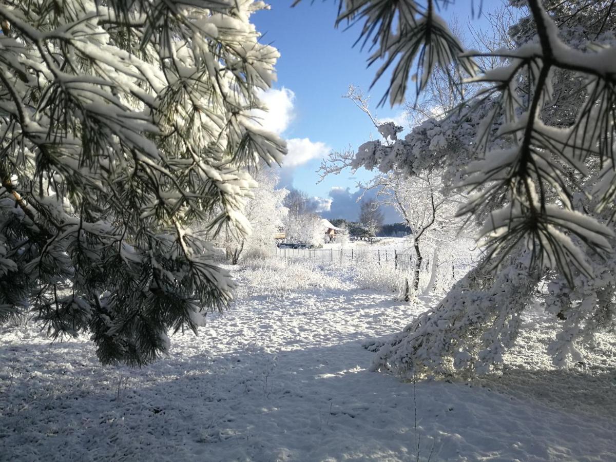 Luksusowy- Nowoczesny Dom W Lesie Vila Kowalewo Exterior foto
