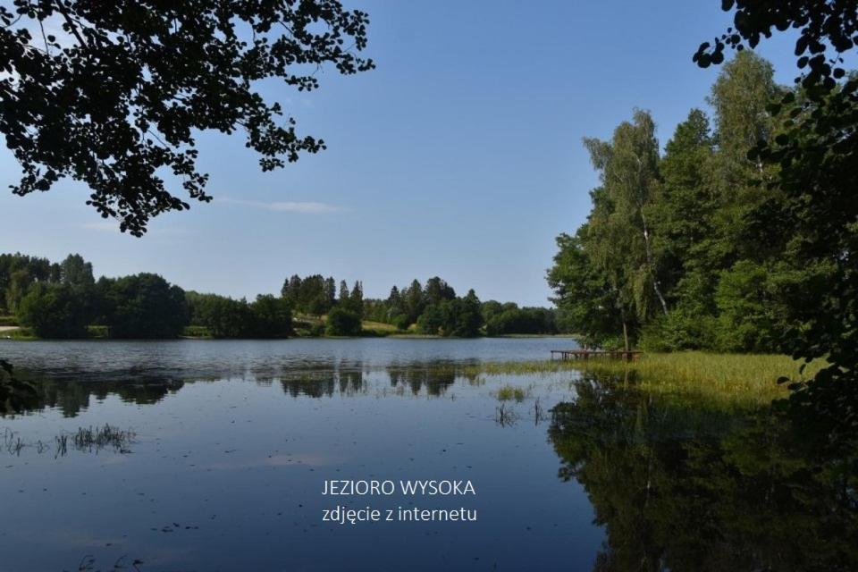 Luksusowy- Nowoczesny Dom W Lesie Vila Kowalewo Exterior foto