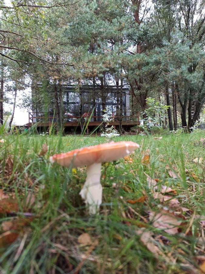 Luksusowy- Nowoczesny Dom W Lesie Vila Kowalewo Exterior foto