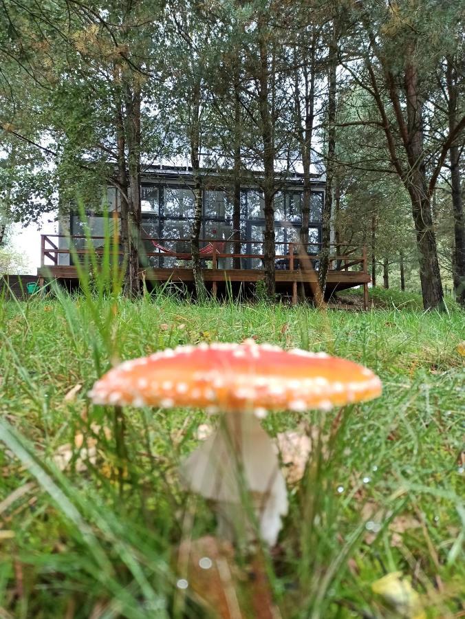 Luksusowy- Nowoczesny Dom W Lesie Vila Kowalewo Exterior foto
